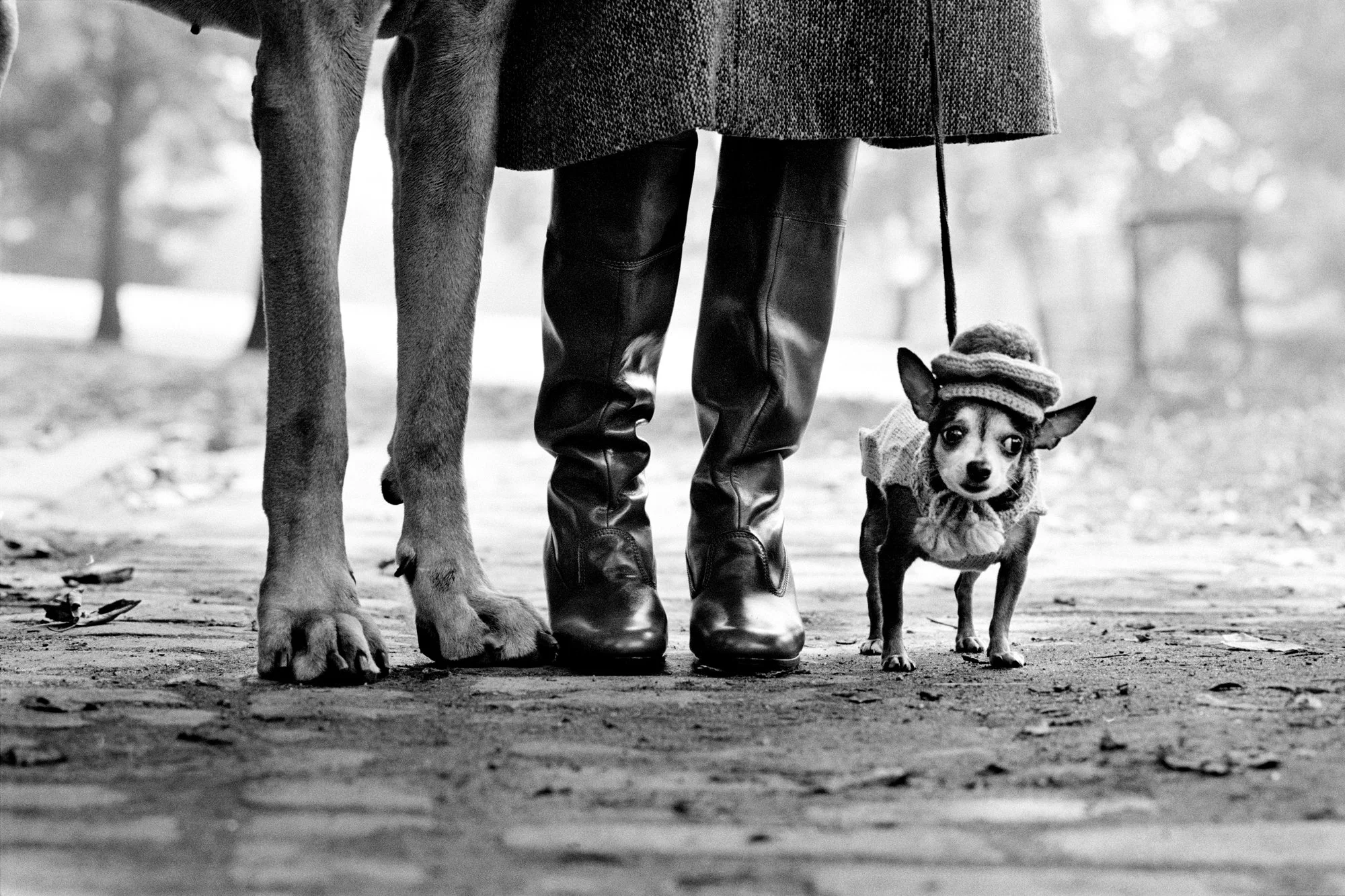 Elliott Erwitt: Through the Playful Eyes of Elliott Erwitt